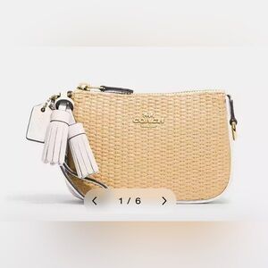 Coach Straw and Leather Mini Handbag with Credit Card Slots